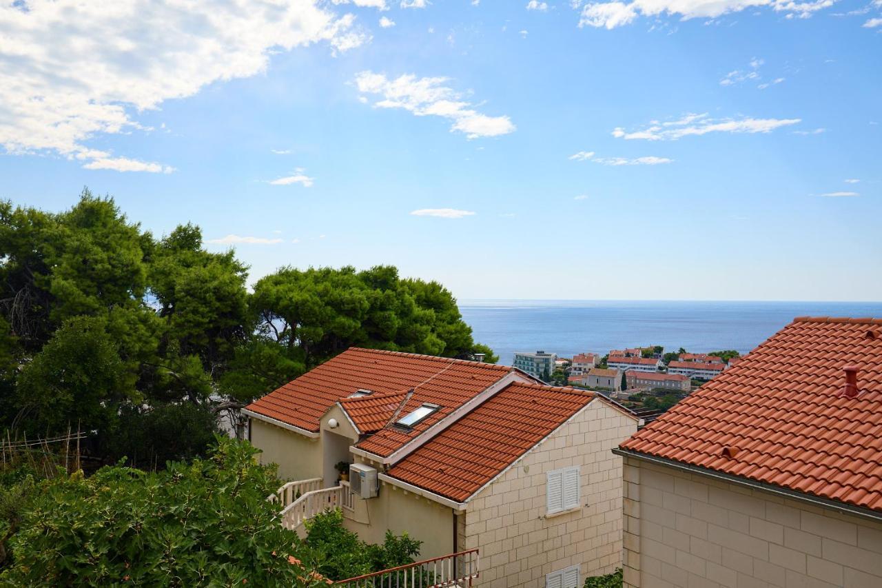 Hedera Estate Hedera Studio 1 Dubrovnik Dış mekan fotoğraf